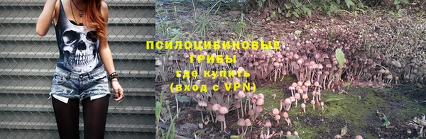 прущие грибы Всеволожск