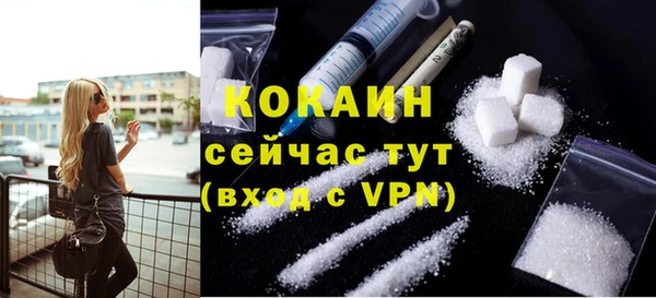 прущие грибы Всеволожск