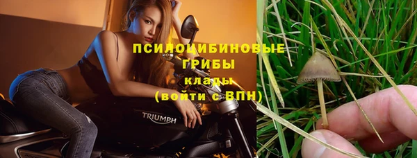MESCALINE Абаза
